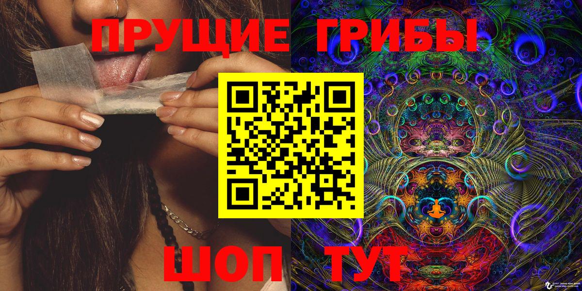 Галлюциногенные грибы Magic Shrooms  Вход с VPN  Алейск  Псилоцибиновые грибы GOLDEN TEACHER 